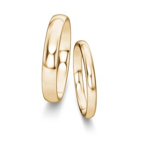 Trouwringen Classic/Eternal in 14K geelgoud