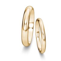 Trouwringen Delight/Heaven in 18K geelgoud