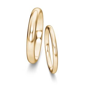 Trouwringen Classic/Eternal in 14K geelgoud