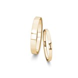 Trouwringen Desire in 14K geelgoud