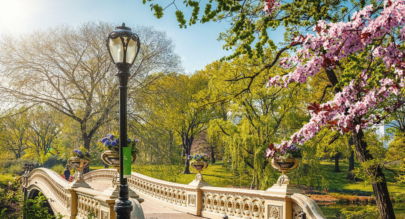 Verloving in Central Park New York