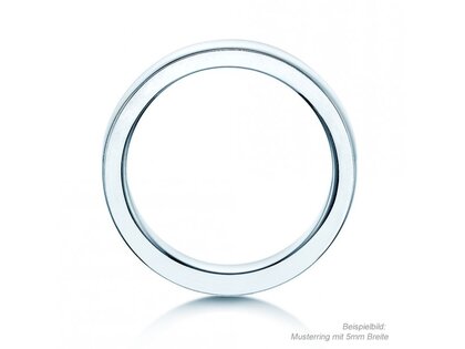 Model Infinity