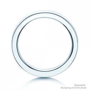 Model Infinity