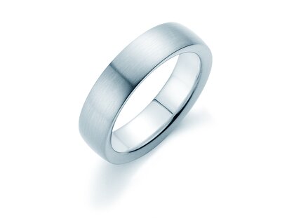 Model Infinity 6mm in platina 950/- mat