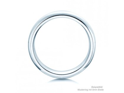 Model Classic 6mm in 14K witgoud gepolijst
