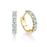 Creolen Dawn in 14K geelgoud