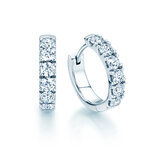 Creolen Dusk in 14K witgoud