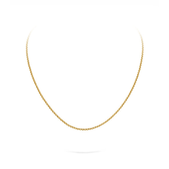 Schakelketting in 14K geelgoud 45cm 2.5