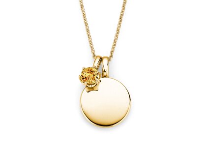 Geboortesteen-hanger Lea november in 14K geelgoud met citrien 0,50ct
