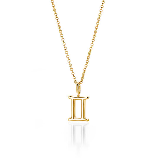 Sterrenbeeld hanger Tweelingen in 14K geelgoud, 42cm 1,1mm