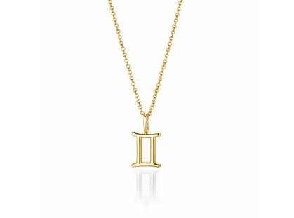 Sterrenbeeld hanger Tweelingen in 14K geelgoud, 45cm 1,1mm