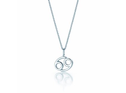 Sterrenbeeld hanger Kreeft in 14K witgoud