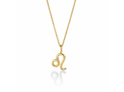 Sterrenbeeld hanger Leeuw in 14K geelgoud, 42cm 1,1mm