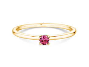 Geboortesteen ring Classic 4 januari in 14K geelgoud met granaat 0,10ct