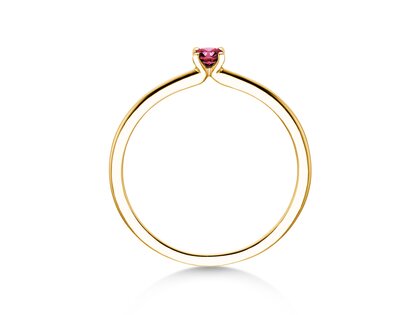 Geboortesteen ring Classic 4 januari in 14K geelgoud met granaat 0,10ct