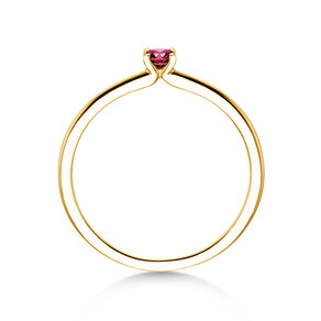 Geboortesteen ring Classic 4 januari in 14K geelgoud met granaat 0,10ct