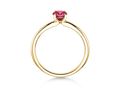 Geboortesteen ring Classic 4 januari in 14K geelgoud met granaat 0,50ct