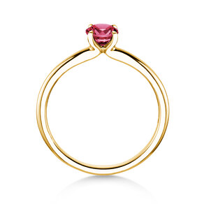 Geboortesteen ring Classic 4 januari in 14K geelgoud met granaat 0,50ct