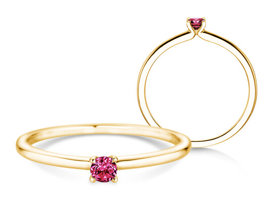 Geboortesteen ring Classic 4 januari in 14K geelgoud met granaat 0,10ct