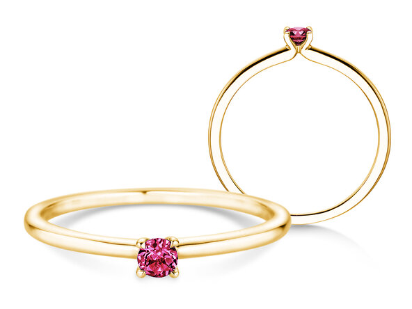 Geboortesteen ring Classic 4 januari in 14K geelgoud met granaat 0,10ct