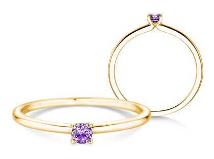 Geboortesteen ring Classic 4 februari in 9K geelgoud met amethist 0,10ct