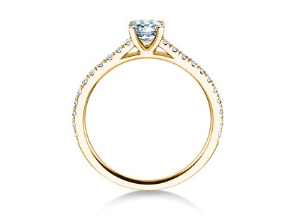 Geboortesteen ring Pure Colour april in 14K geelgoud met diamant 0,50ct en diamanten 0,26ct