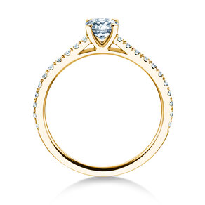 Geboortesteen ring Pure Colour april in 14K geelgoud met diamant 0,50ct en diamanten 0,26ct