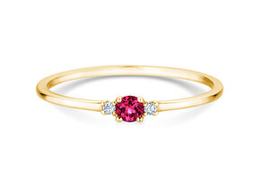 Geboortesteen ring Vivid Petite januari in 14K geelgoud met granaat 0,11ct en diamanten 0,02ct