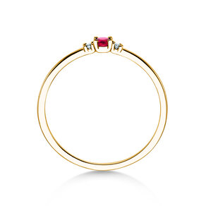 Geboortesteen ring Vivid Petite januari in 14K geelgoud met granaat 0,11ct en diamanten 0,02ct