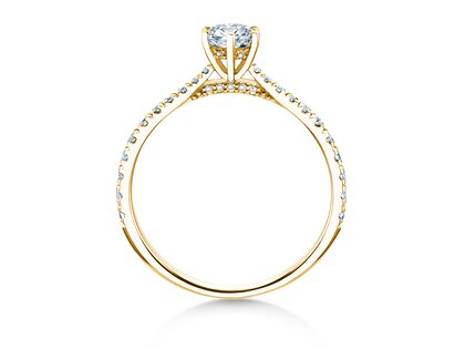 Verlovingsring Classic 6 Hidden Halo Pavé in 14K geelgoud met diamanten 0,55ct G/SI