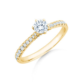 Verlovingsring Classic 6 Hidden Halo Pavé in 14K geelgoud met diamanten 0,55ct G/SI