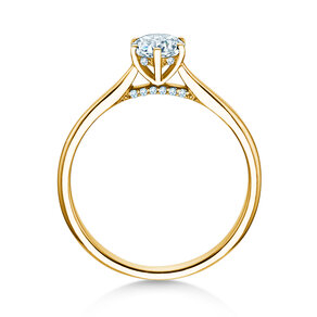Verlovingsring Classic 6 Hidden Halo in 14K geelgoud met diamanten 0,55ct G/SI