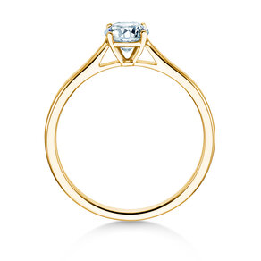 Verlovingsring Surprise in 14K geelgoud met Lab-grown diamant 0,50ct E/VS