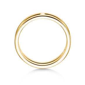 Verlovingsring Link in 14K geelgoud gepolijst