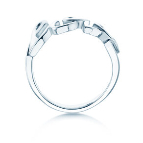 Ring Love Clean in 14K witgoud gepolijst