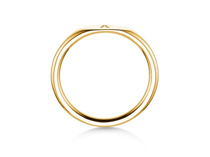 Ring Signet in 14K geelgoud gepolijst