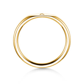 Ring Signet in 14K geelgoud gepolijst