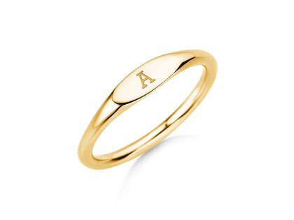 Ring Signet in 14K geelgoud gepolijst