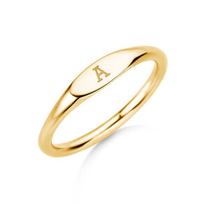 Ring Signet in 14K geelgoud gepolijst