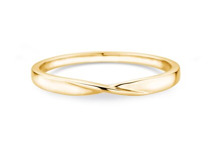 Herenring Spin 2mm in 14K geelgoud gepolijst