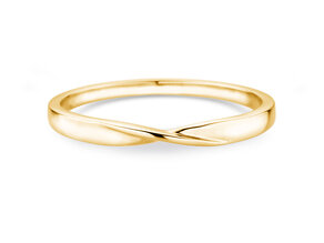 Herenring Spin 2mm in 14K geelgoud gepolijst
