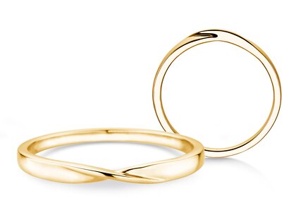 Herenring Spin 2mm in 14K geelgoud gepolijst
