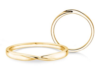 Herenring Spin 2mm in 14K geelgoud gepolijst