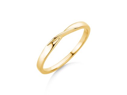 Herenring Spin 2mm in 14K geelgoud gepolijst