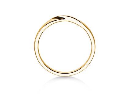 Herenring Spin 2mm in 14K geelgoud gepolijst