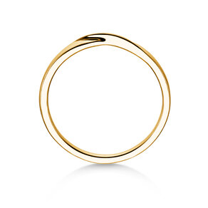 Herenring Spin 2mm in 14K geelgoud gepolijst