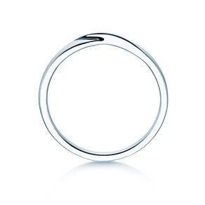 Herenring Spin 2mm in zilver 925/- gepolijst