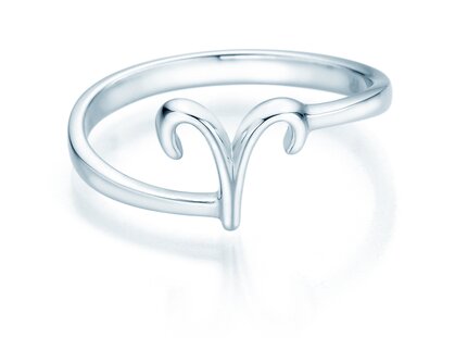 Sterrenbeeld ring