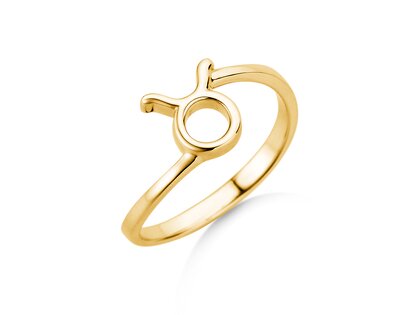 Sterrenbeeld ring Stier in 14K geelgoud