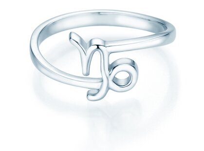 Sterrenbeeld ring Steenbok in platina 950/-